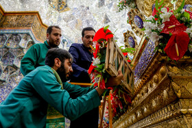 گل آرایی ضریح حضرت معصومه (س) به مناسبت ولادت امام رضا(ع)