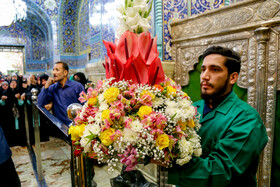 گل آرایی ضریح حضرت معصومه (س) به مناسبت ولادت امام رضا(ع)