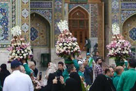 تعویض گل‌های ضریح حرم مطهر امام‌رضا(ع)
