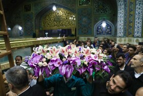 تعویض گل‌های ضریح حرم مطهر امام‌رضا(ع)