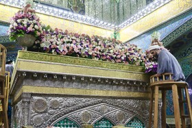 تعویض گل‌های ضریح حرم مطهر امام‌رضا(ع)