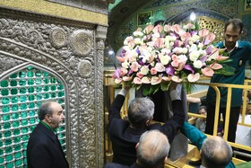 تعویض گل‌های ضریح حرم مطهر امام‌رضا(ع)