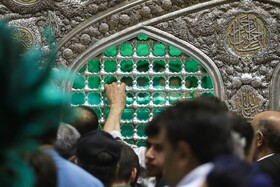 تعویض گل‌های ضریح حرم مطهر امام‌رضا(ع)
