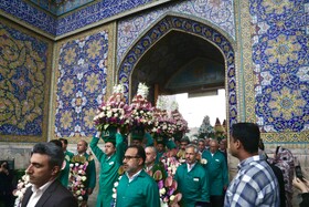 تعویض گل‌های ضریح حرم مطهر امام‌رضا(ع)
