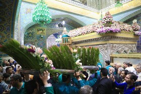 تعویض گل‌های ضریح حرم مطهر امام‌رضا(ع)