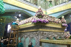 تعویض گل‌های ضریح حرم مطهر امام‌رضا(ع)