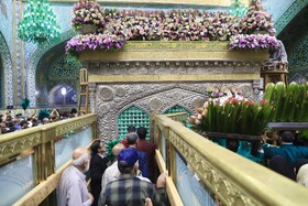 تعویض گل‌های ضریح حرم مطهر امام‌رضا(ع)