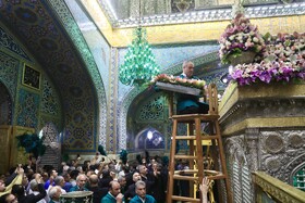 تعویض گل‌های ضریح حرم مطهر امام‌رضا(ع)