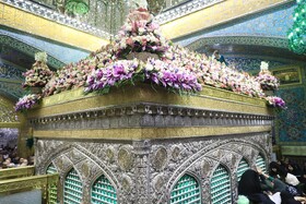 تعویض گل‌های ضریح حرم مطهر امام‌رضا(ع)