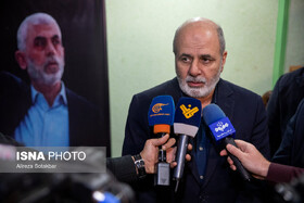 احمدیان: خطوط قرمز ایران در مذاکرات کاملا مشخص است