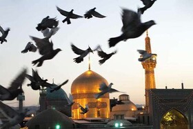 دلم خورشید می‌خواهد ...