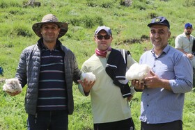 آیین ۶۰۰ ساله ورف چال  روستای آب اسک آمل -مازندران