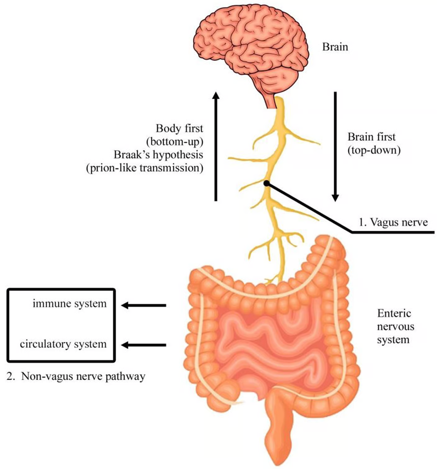 «اختلال اضطراب پس از سانحه» قابل درمان شد