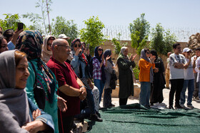 برداشت گل محمدی از روستای «فرخد» - قمصر خراسان