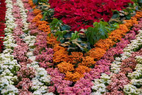 افتتاح بیستمین نمایشگاه گل و گیاه با حضور شهردار تهران