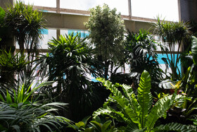 افتتاح بیستمین نمایشگاه گل و گیاه با حضور شهردار تهران