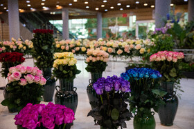 افتتاح بیستمین نمایشگاه گل و گیاه با حضور شهردار تهران