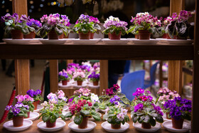 افتتاح بیستمین نمایشگاه گل و گیاه با حضور شهردار تهران