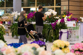 افتتاح بیستمین نمایشگاه گل و گیاه با حضور شهردار تهران