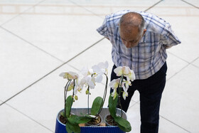 افتتاح بیستمین نمایشگاه گل و گیاه با حضور شهردار تهران