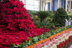 افتتاح بیستمین نمایشگاه گل و گیاه با حضور شهردار تهران