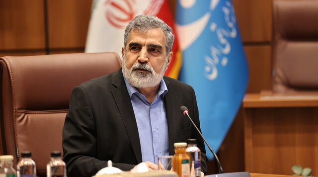 کمالوندی: صدور قطعنامه منجر به اسنپ‌بک نمی‌شود