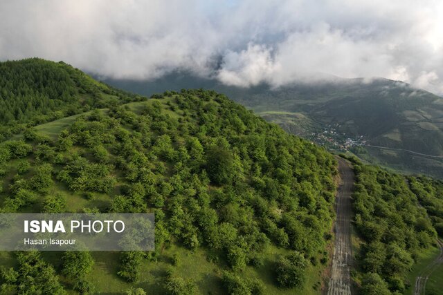 جنگل‌های ایران به جای طرح تنفس به برنامه‌ریزی ۱۰۰ ساله نیاز دارد