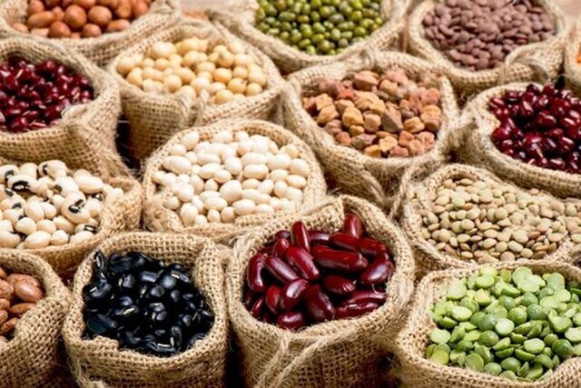 صادرات بیضابطه عامل گرانی حبوبات صادرات بیضابطه عامل گرانی حبوبات