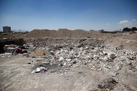 با نزدیک شدن به فصل گرما این زباله‌ها، محلی برای تجمع حشرات موزی است.