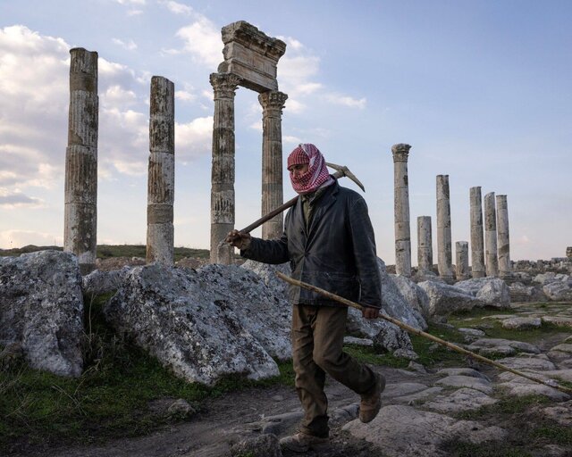 در شمال غربی پالمیرا (آپامئا)، تیمهایی از شکارچیان گنج در نزدیکی ستون معروف این مکان حفاری میکنند. «پالمیرا» ۲۰۰۰ سال دوام آورد اما جنگ ۱۳ ساله آن را ویران کرد