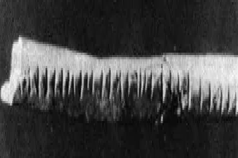 علم ریاضی چه زمانی اختراع شد؟