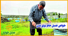 جایگاه عسل به عنوان یک غذای دارویی در رژیم غذایی ایرانی