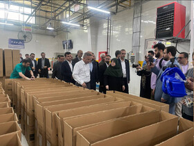 بازدید سخنگوی دولت از ۲ مجتمع تولیدی در بندرانزلی