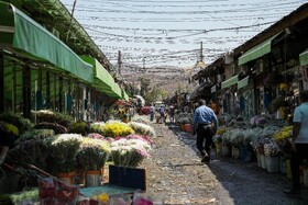 پایش میدانی ایمنی و آتش‌نشانی بازار گل و مجتمع مسکونی امام رضا (ع)