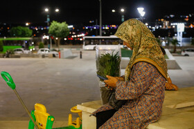 یازدهمین نمایشگاه گل و گیاه - اصفهان