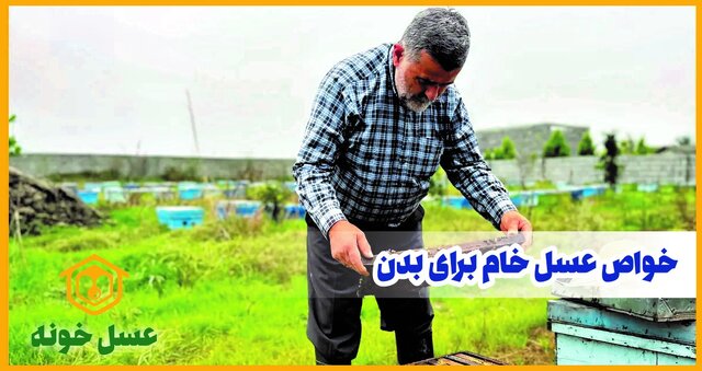 جایگاه عسل به عنوان یک غذای دارویی در رژیم غذایی ایرانی