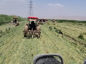 قلع‌وقمع ۸۶۰ هکتار از مزارع آلوده به فاضلاب خام در شرق شیراز