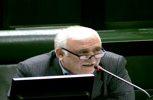 عبداللهی: دولت کمک هزینه نانوایان را پرداخت کند