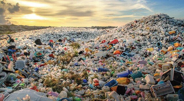 از زباله کشاورزی تا خوراک دام؛ داستان یک تحول نوآورانه