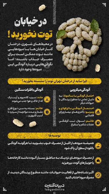 این توت‌ها را در خیابان نخورید + اینفوگرافیک