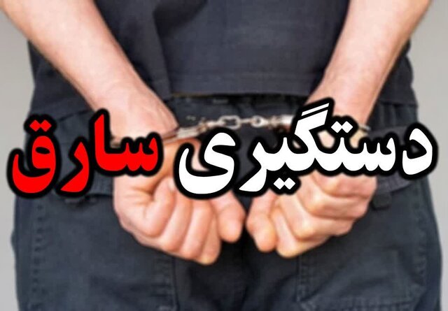 سارق خودروهای لوکس کرج دستگیر شد