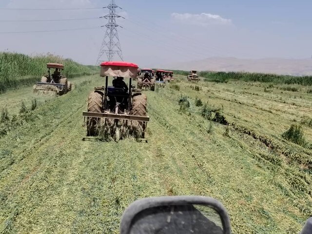 قلع‌وقمع ۸۶۰ هکتار از مزارع آلوده به فاضلاب خام در شرق شیراز