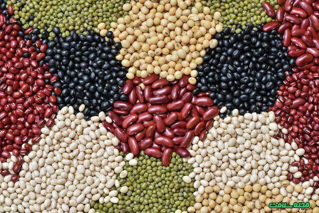 آیا مصرف حبوبات برای سالمندان مضر است؟ آیا مصرف حبوبات برای سالمندان مضر است؟
