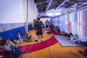 نوزدهمین دوره مسابقات بین المللی کشتی آزاد جام شهید هاشمی نژاد