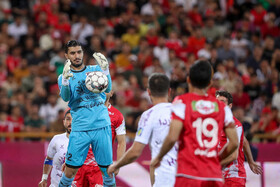 هفته سی‌ام لیگ برتر فوتبال ایران؛ پرسپولیس - هوادار