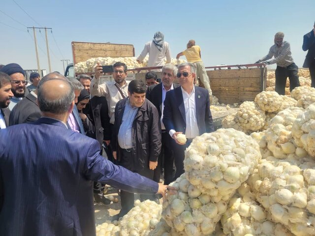 وضعیت بازار پیاز در جنوب کرمان نگران‌کننده است 
