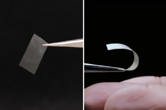 نوار میسلیوم ابداع مادهای جدید از قارچ برای ساخت باتری و بستهبندیهای زیستمحیطی