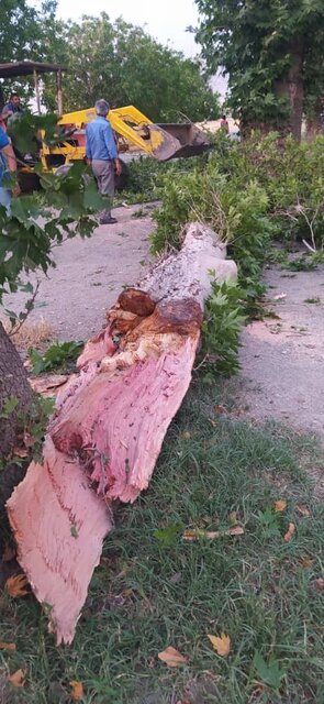 طوفان با سرعت ۸۲ کیلومتر در ساعت برق مناطقی از البرز را قطع کرد