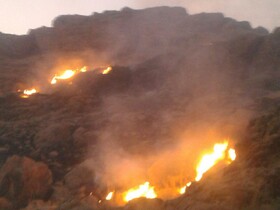 کوه‌های جوادیه شیراز آتش ‌گرفت