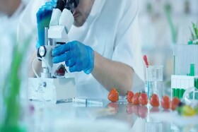 رقابت تیم‌های فناور برای ارائه بهترین فرمولاسیون فرآوری محصولات غذایی